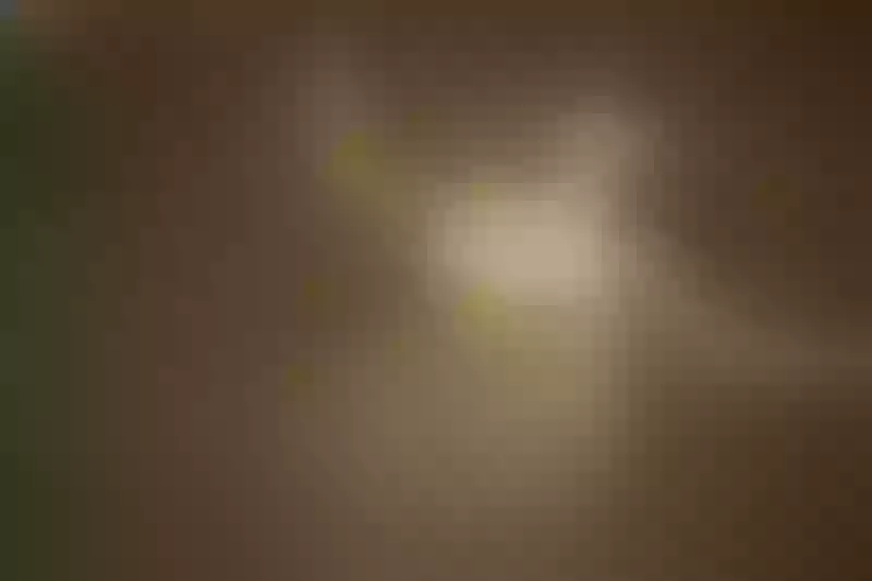 Live sex webcam photo for MiaColeman #2000622