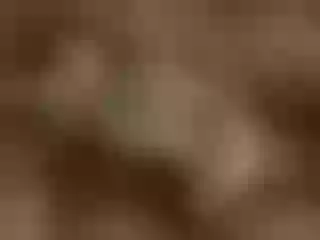 Live sex webcam photo for GemmaSanders #6580861