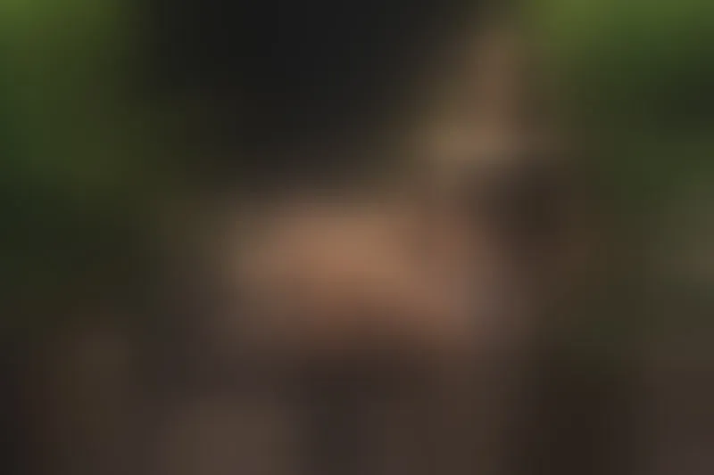 Live sex webcam photo for GemmaSanders #7486047