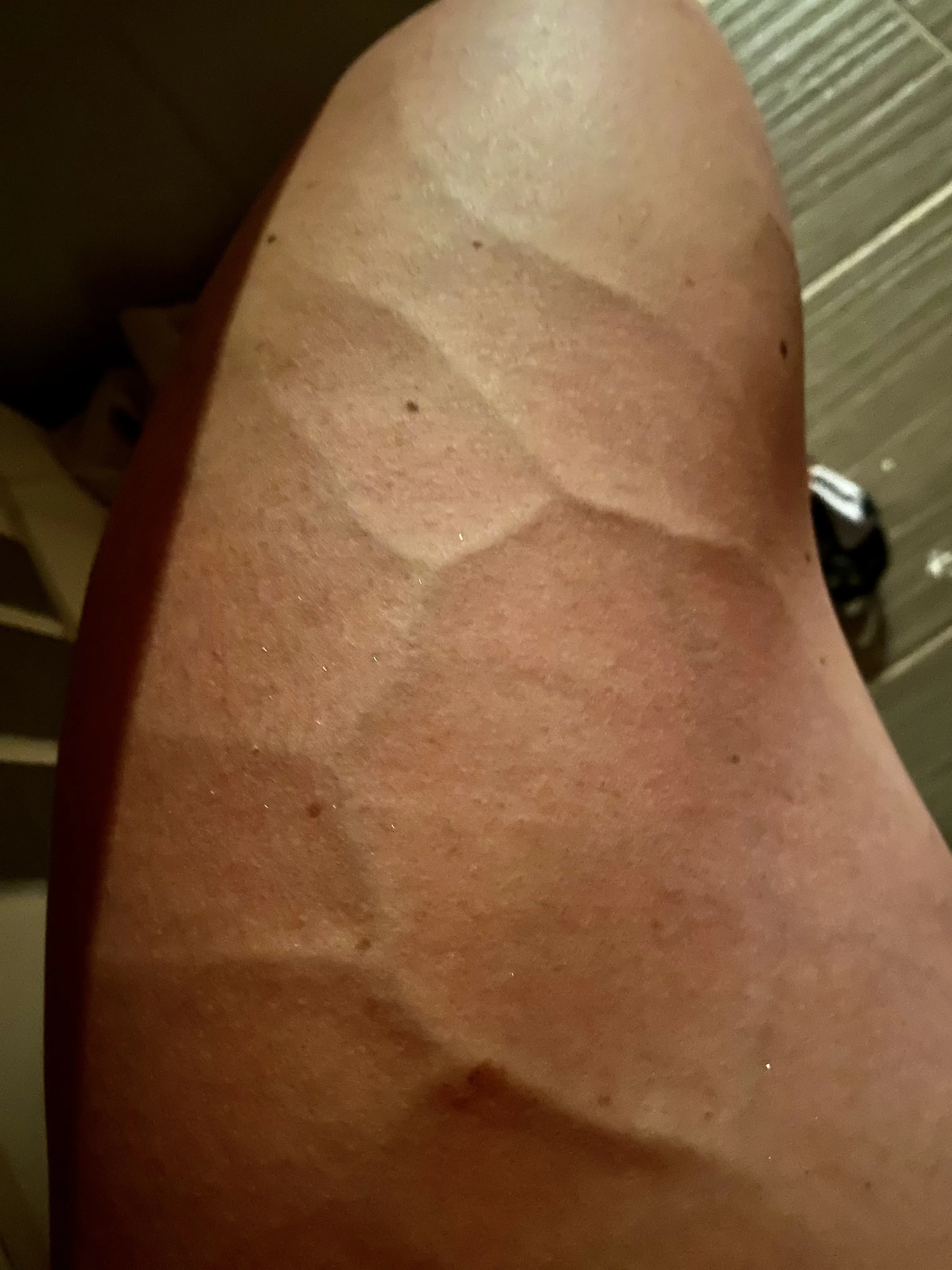 Live sex webcam photo for SofiaBorton #7169084