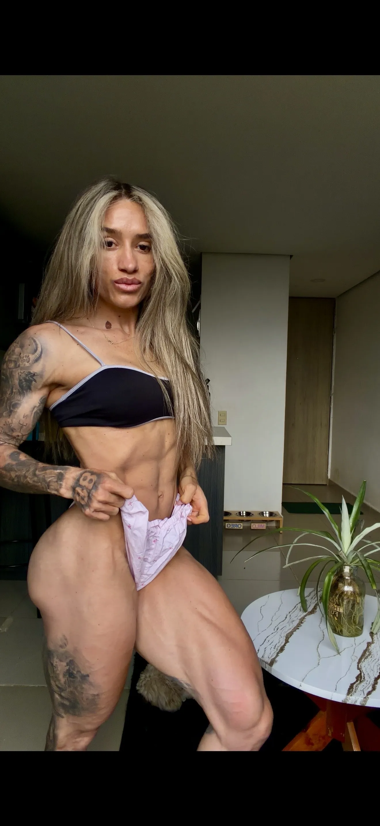 Live sex webcam photo for SofiaBorton #8680273