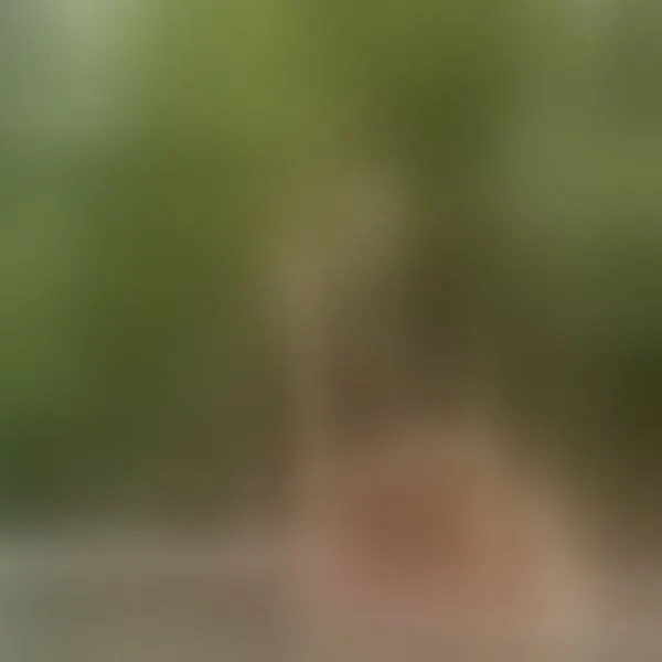 Live sex webcam photo for yourTSplaymate #8429698