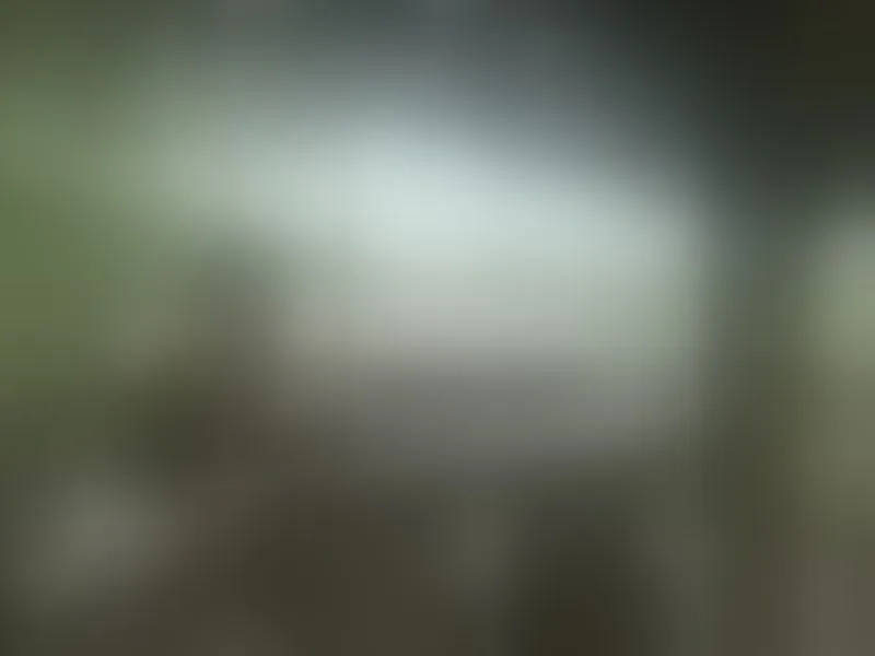 Live sex webcam photo for yourTSplaymate #8429621