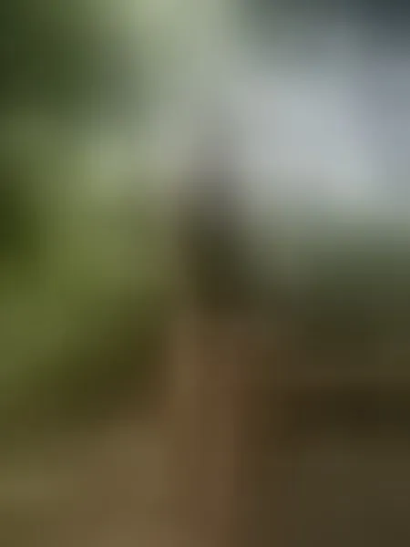 Live sex webcam photo for yourTSplaymate #8429723