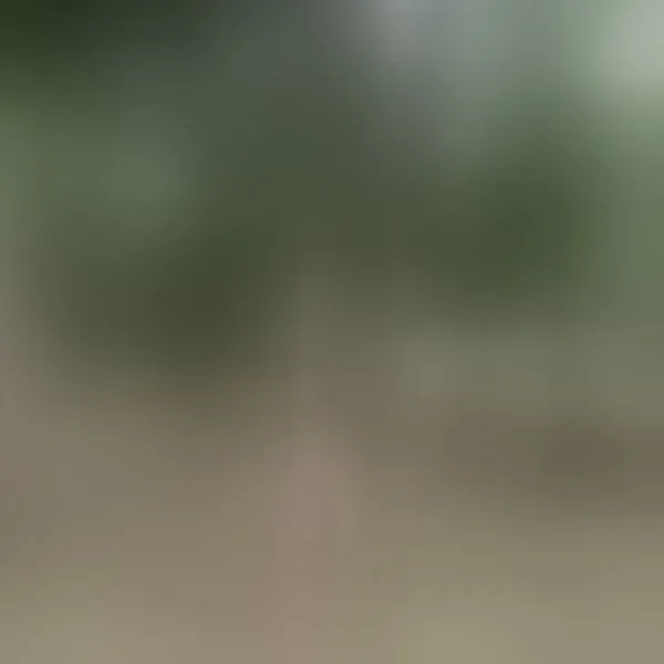 Live sex webcam photo for yourTSplaymate #8429753