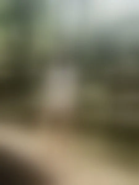 Live sex webcam photo for yourTSplaymate #8429543