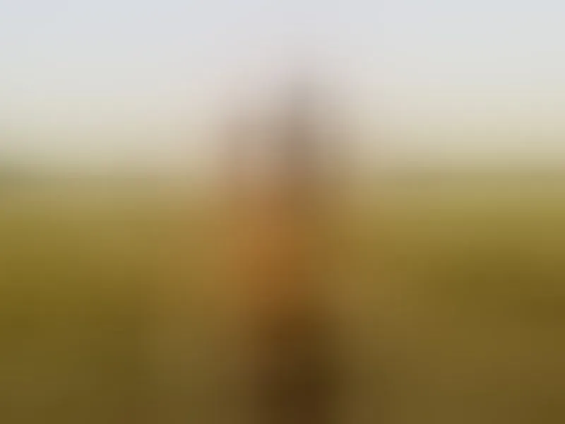 Live sex webcam photo for yourTSplaymate #8429605
