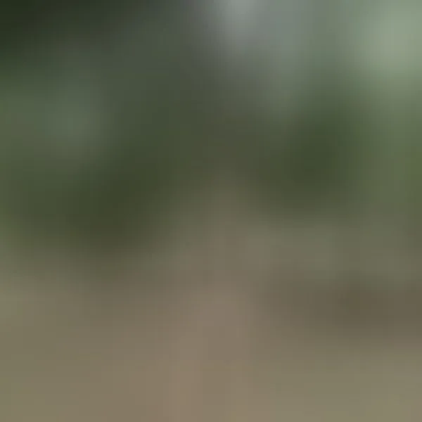 Live sex webcam photo for yourTSplaymate #8429746