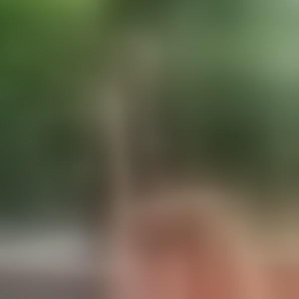 Live sex webcam photo for yourTSplaymate #8429719