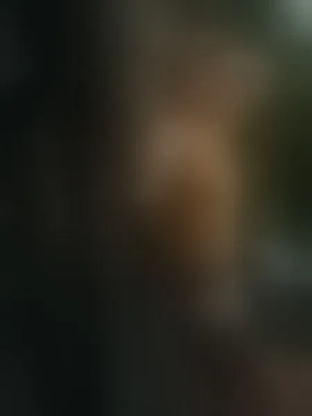 Live sex webcam photo for yourTSplaymate #8429603