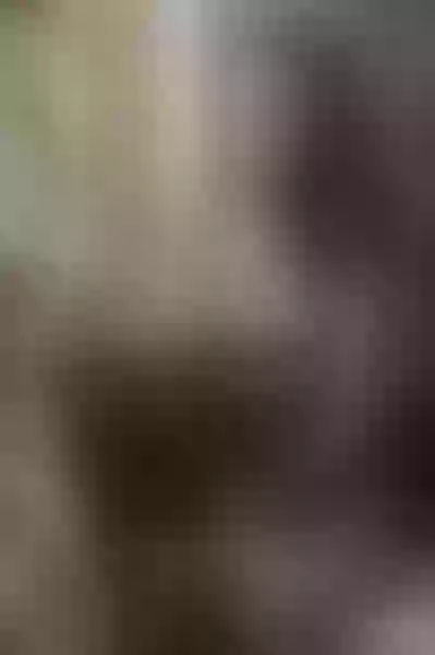 Live sex webcam photo for CassieBell #1994909