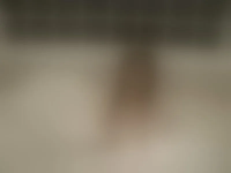 Live sex webcam photo for girl4eternity #8399057