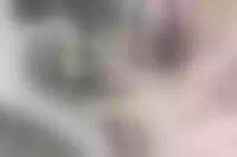Live sex webcam photo for Fermercury #1803960