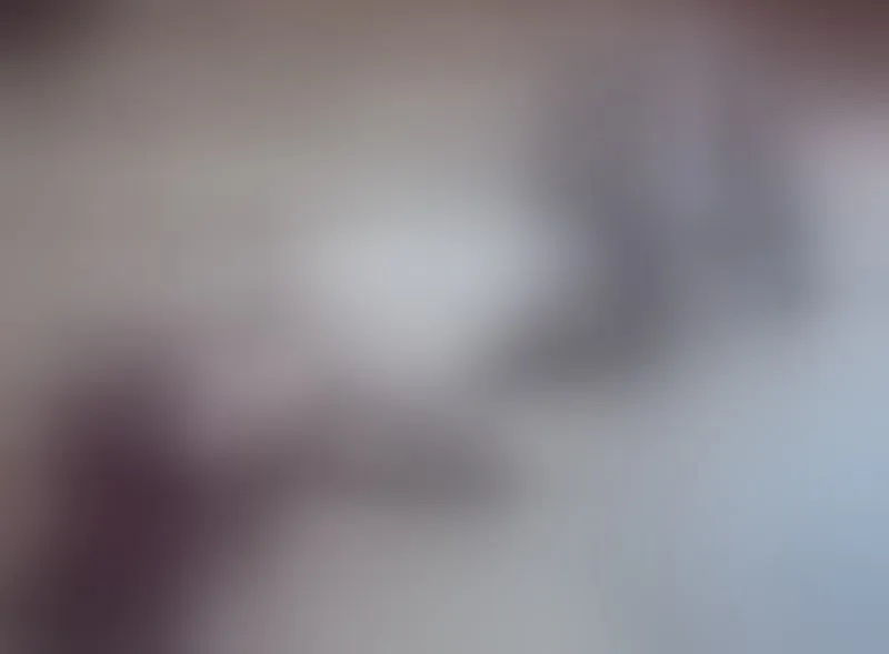 Live sex webcam photo for Fermercury #1804035
