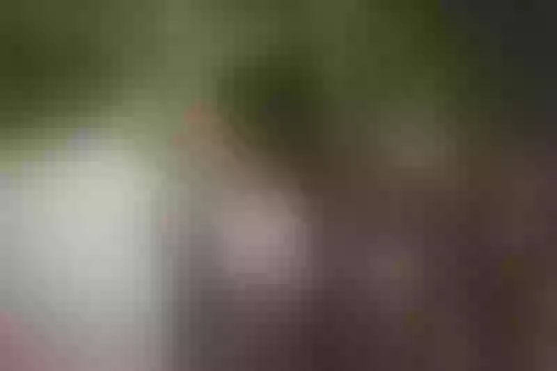 Live sex webcam photo for Maria_AngelX #7103970