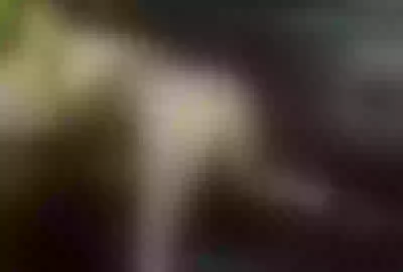 Live sex webcam photo for UrFirstTeacher #1777889