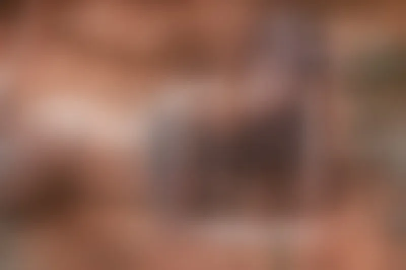 Live sex webcam photo for AlessaMoth #7314029