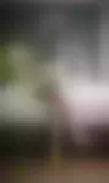 Live sex webcam photo for AlessaMoth #7314366