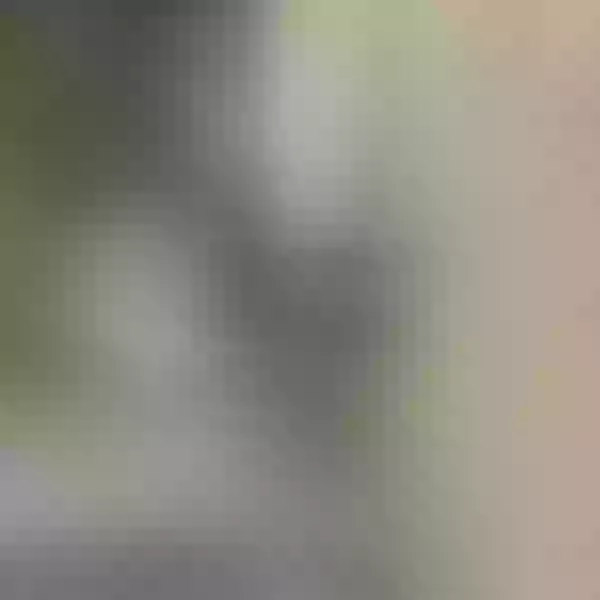 Live sex webcam photo for flower72 #2348684