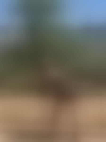 Live sex webcam photo for flower72 #2348628