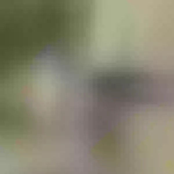 Live sex webcam photo for flower72 #2348682