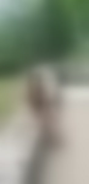 Live sex webcam photo for flower72 #2348691