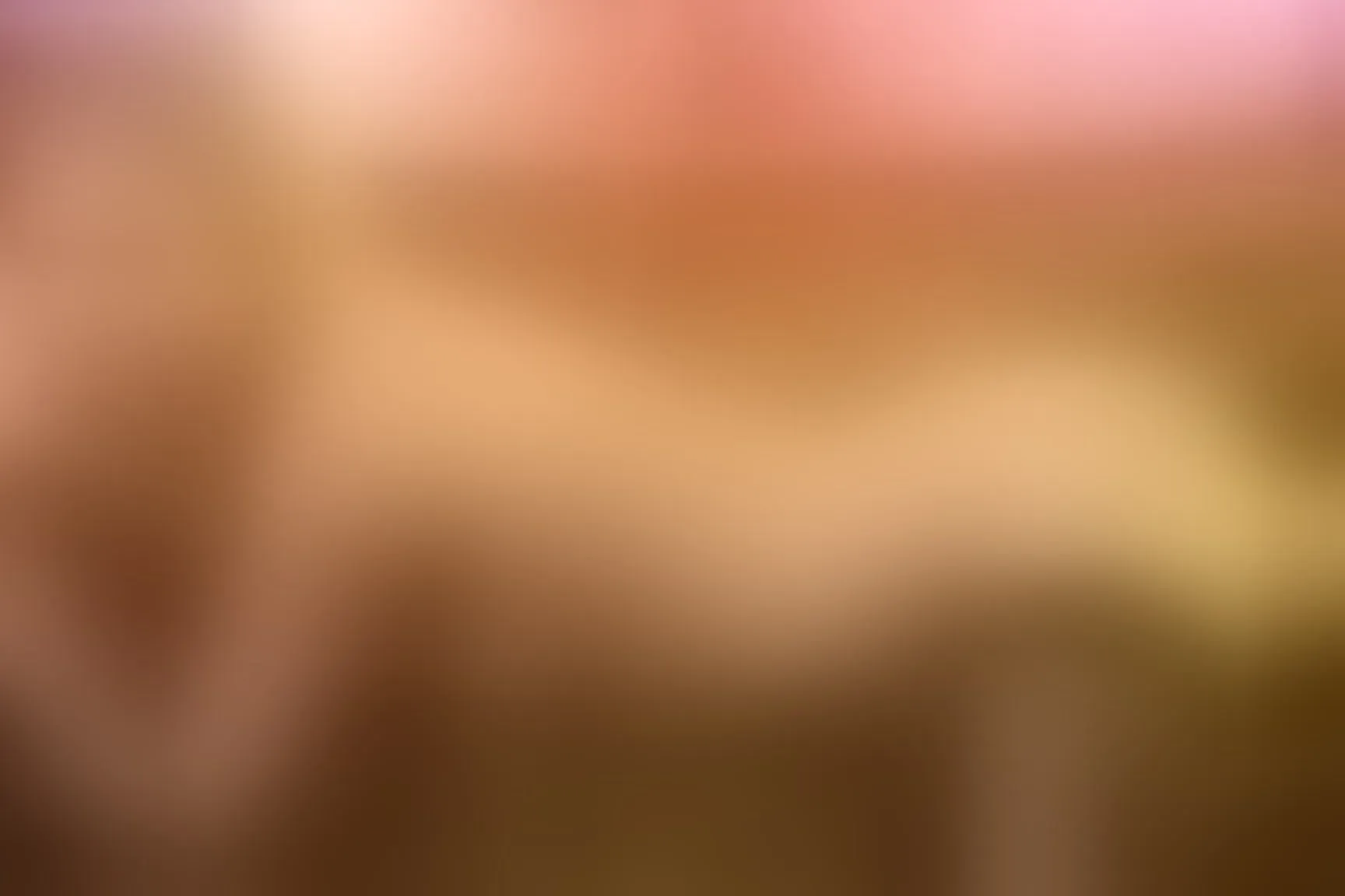 Live sex webcam photo for Roxy_Rox #8460553