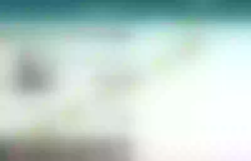 Live sex webcam photo for TrinaBanks #3148335