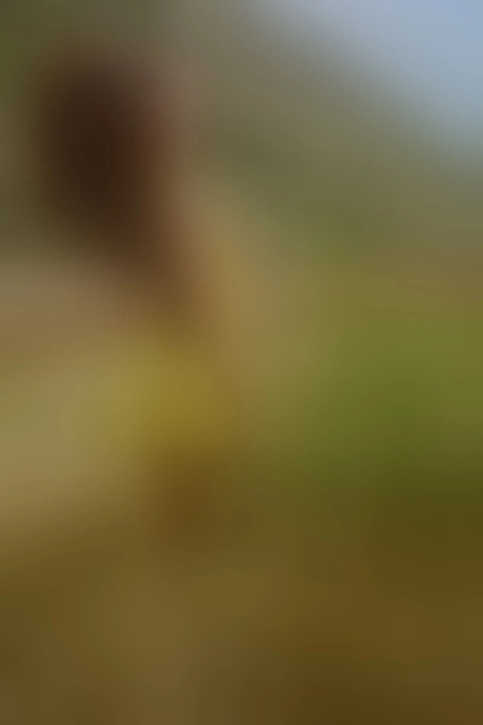 Live sex webcam photo for katecolins #8642165
