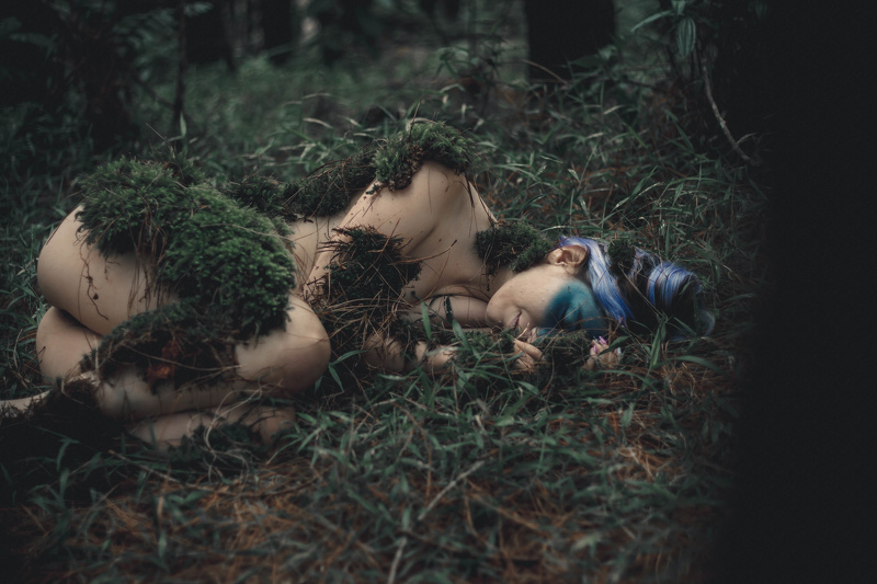 Live sex webcam photo for BonnieBrooke #2122108