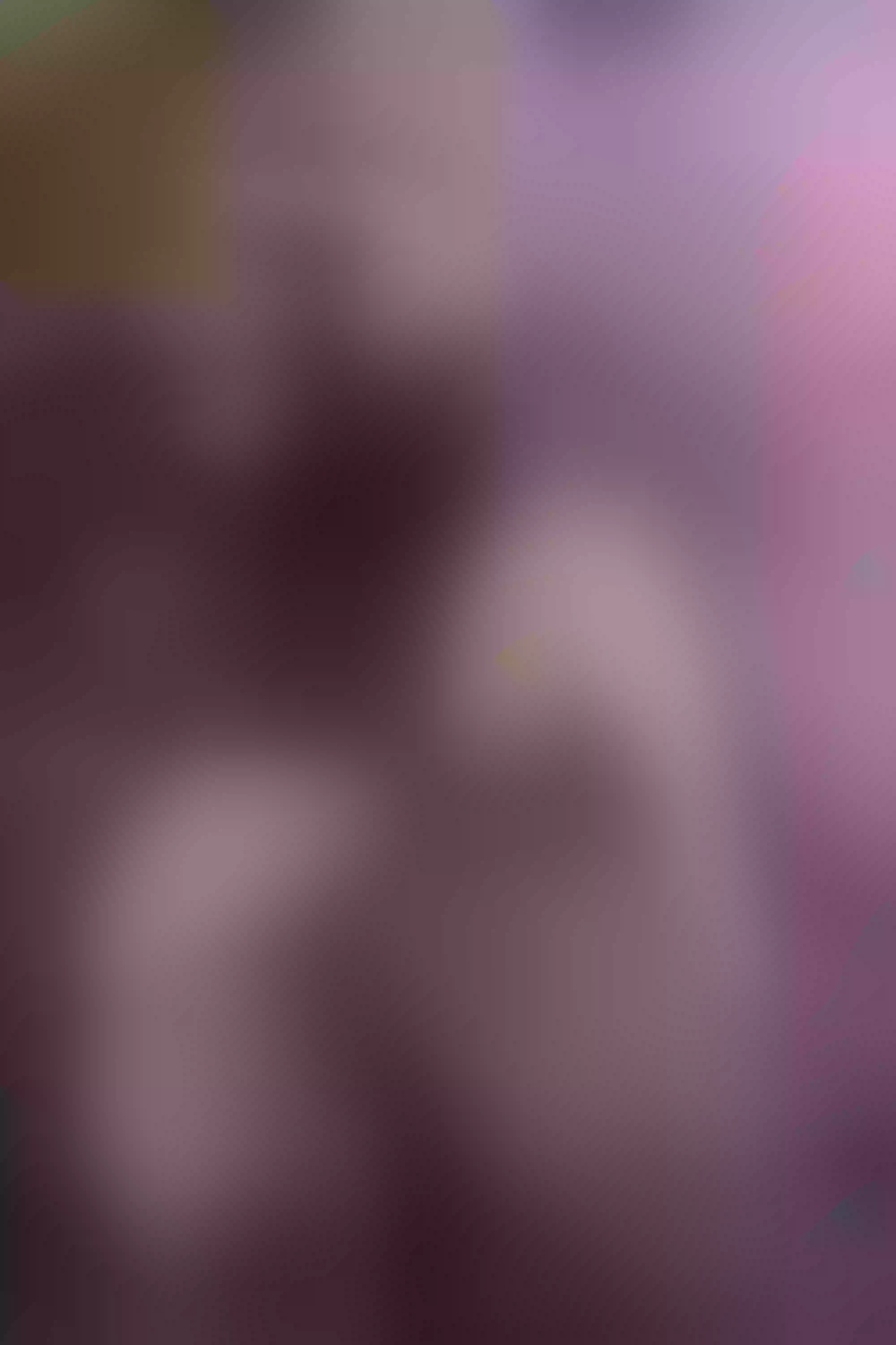 Live sex webcam photo for BrianaPreston #8342024