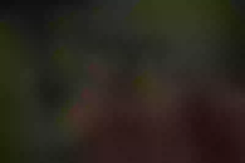 Live sex webcam photo for Kathia_Lopez #1976038