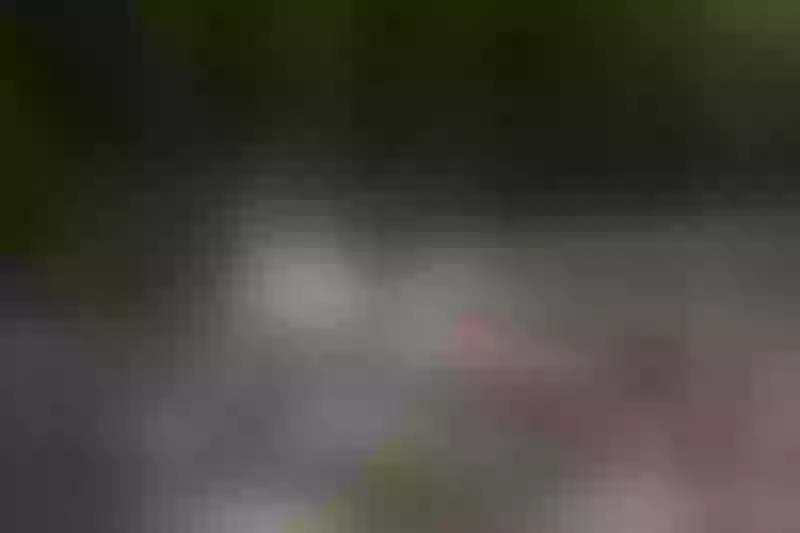 Live sex webcam photo for Nathaniela #7829364