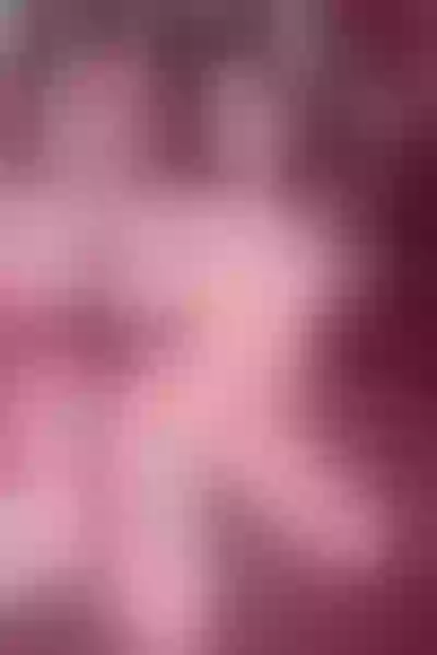 Live sex webcam photo for VannityValos #2667227
