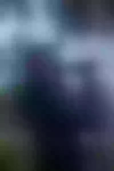 Live sex webcam photo for BeckyShine #7126625