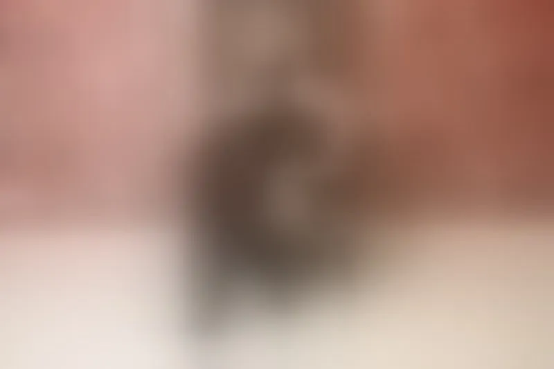 Live sex webcam photo for NadiaDom #7212749
