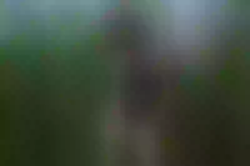 Live sex webcam photo for MinnieDrew #8355512