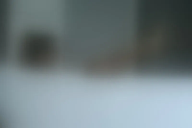 Live sex webcam photo for NattalieFox #7876189