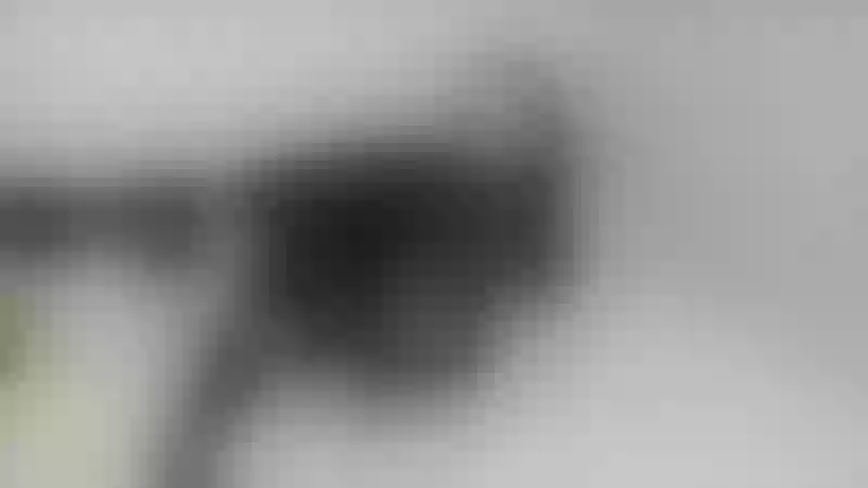 Live sex webcam photo for JessyUnknown #2024093