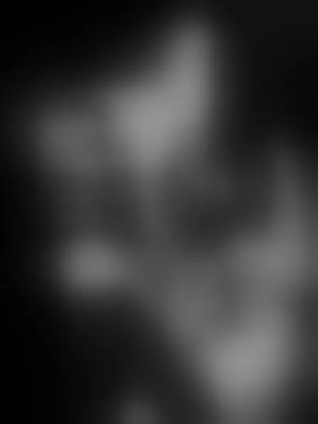 Live sex webcam photo for Hecatedarksex #1830389