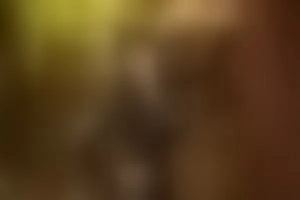 Live sex webcam photo for Hecatedarksex #1830315
