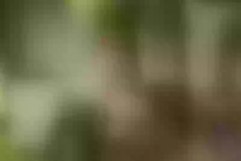 Live sex webcam photo for PaulinaSexMore #3407493