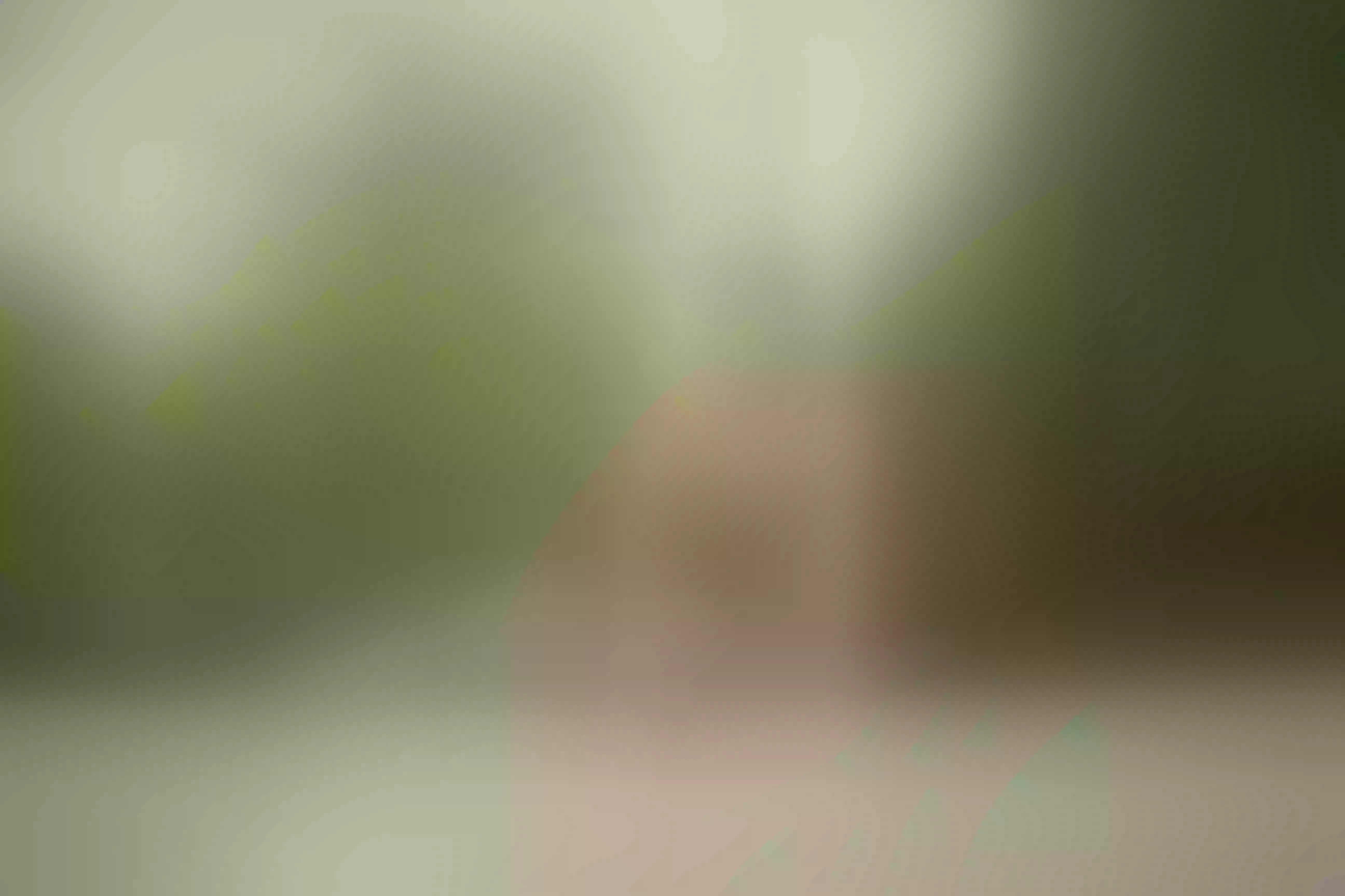 Live sex webcam photo for simplyLheng #7111372