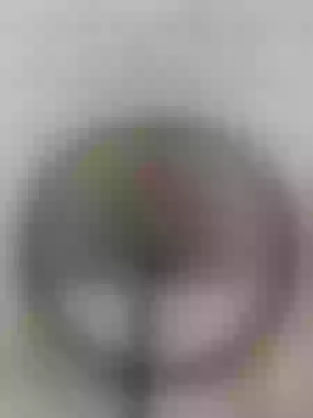 Live sex webcam photo for EvaBreast #2981217