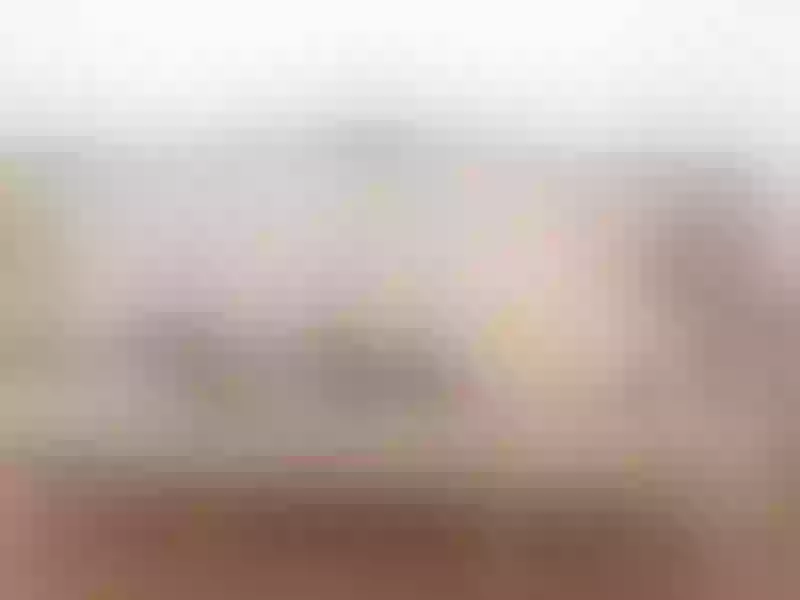 Live sex webcam photo for EvaBreast #2296237