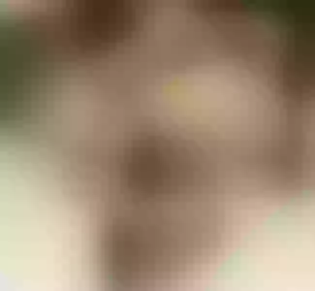 Live sex webcam photo for PhoenixSonia #2054502