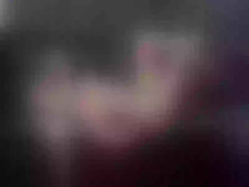 Live sex webcam photo for AnnaFire #7470819