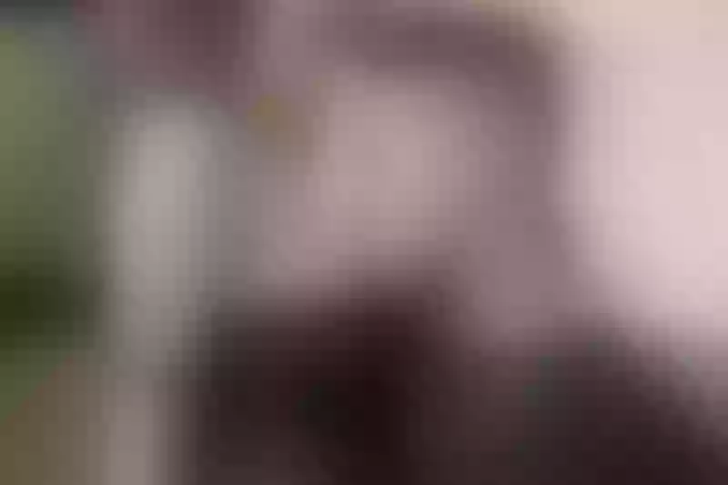 Live sex webcam photo for HunterXAriana #1994727