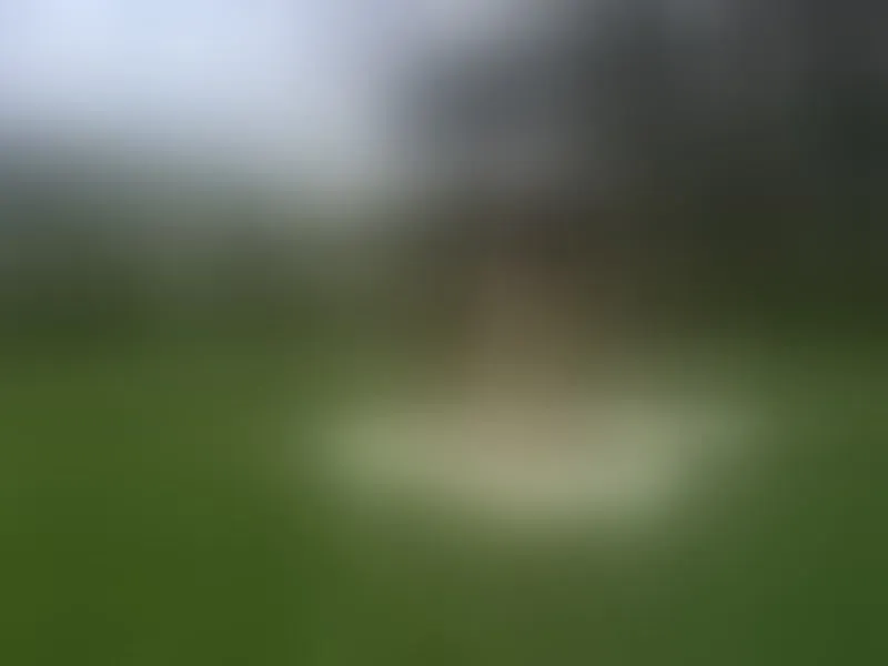 Live sex webcam photo for HunterXAriana #1994703