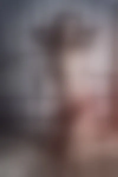 Live sex webcam photo for switchloren #1804256